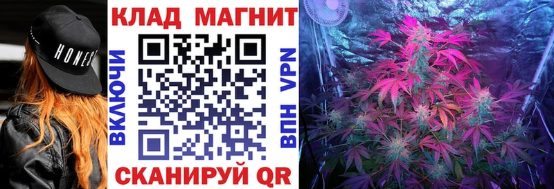 Где продают наркотики Щёлково АМФЕТАМИН  Codein  ГАШИШ  Бошки Шишки  A PVP  Кокаин 