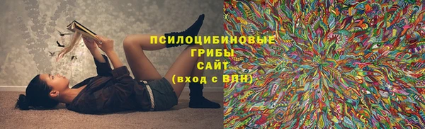 молекула духа Абинск
